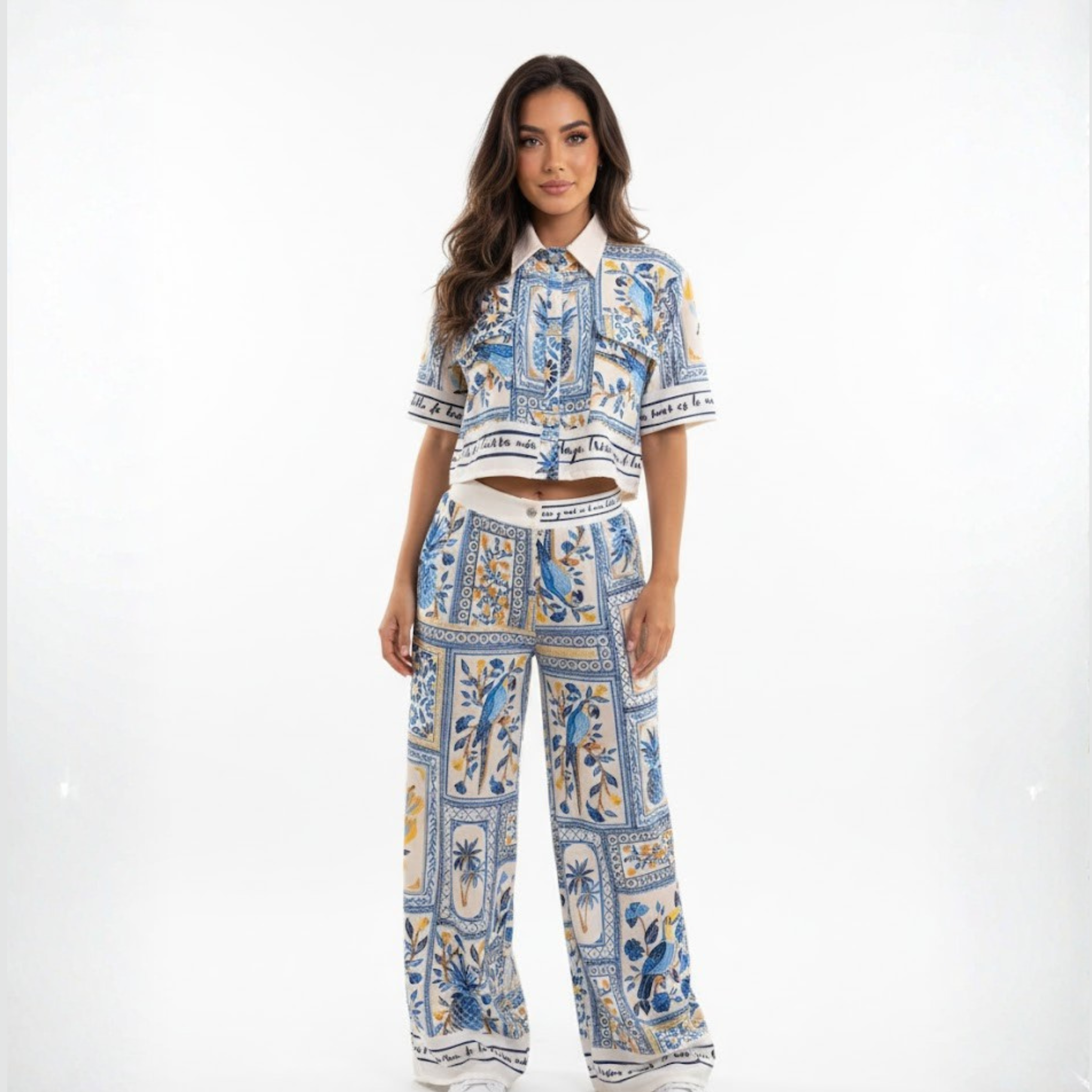 BLUE BIRD SET